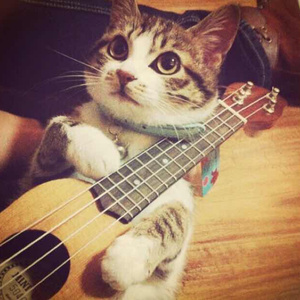 疯狂婬荡的人妻HD中文
